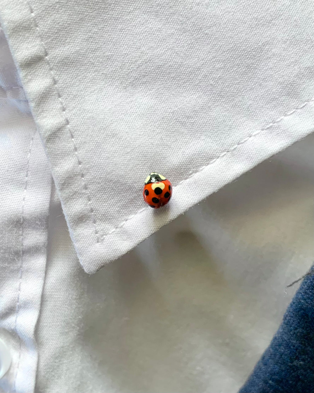 Realistic Ladybug Brooch Pin, Life-Sized, Unique Handmade Bug Pin